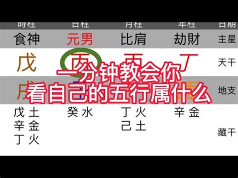 如何得知自己五行|五行屬性解惑秘笈，教你輕鬆辨別你的命理本色